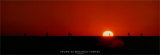 Palma di Maiorca - Sunset Prints by Carlo Borlenghi