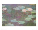 Waterlelies Posters van Claude Monet