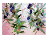 Oliven Giclée-Druck von Ann Tuck