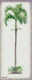 Palm Tree II Posters by Debra Lake Palm Tree II Posters by Debra Lake