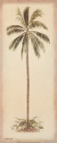 Palm Tree I Posters av Debra Lake