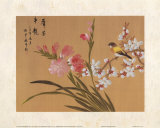 Peony Blossom II Print by Steve Leal Peony Blossom II Print by Steve Leal