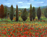 Poppies Prints by Paul Curtis