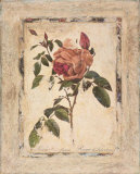 Rose Texture II Print by Joyce Combs