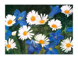 Spring Time Friends Prints by Alexandra Terramorsi Spring Time Friends Prints by Alexandra Terramorsi