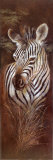 Striped Innocence Poster by Ruane Manning