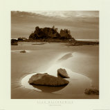 Parc national olympique de Shi-shi Beach Posters par Alan Majchrowicz