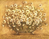 So Many Daisies Posters by Kate McRostie