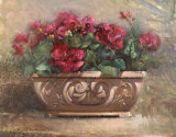 Sunwashed Geraniums Posters by Paul Mathenia