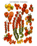 Tomaten Posters van Roger Phillips Tomaten Posters van Roger Phillips