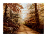 The Road to Shepherd Lake Prints by Betsy Brown