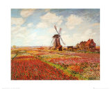 Tulip Fields with the Rijnsburg Windmill Prints by Claude Monet