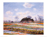 Tulip Fields at Sasenheim Print by Claude Monet