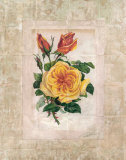 Victorian Rose I Arte por John Butler Victorian Rose I Arte por John Butler