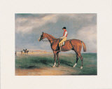 Velocipede Plakater af John E. Ferneley