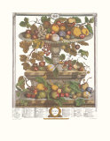 Twelve Months of Fruits, 1732, June Prints by Robert Furber