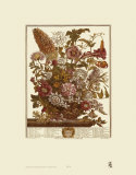 Twelve Months of Flowers, 1730, August Affiche par Robert Furber