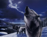 Howling Wolves Posters af Kevin Daniel Howling Wolves Posters af Kevin Daniel