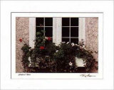 Window Box Posters by Tony Casper