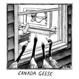 Geese watching hockey from a window.  - New Yorker Cartoon Premium Giclee Print by Matthew Diffee