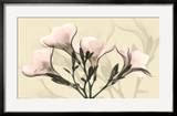 Misty Reflection Oleander Láminas por Albert Koetsier