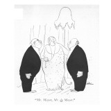 "Mr. Meyer, Mr. de Meyer." - New Yorker Cartoon Premium Giclee Print by  Alain