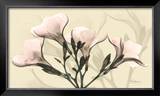 Misty Reflection Oleander Posters by Albert Koetsier