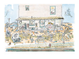 Woman sitting on front porch with junk and stuff strewn al over yard.  A s… - New Yorker Cartoon Premium Giclee Print by George Booth