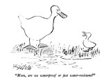 "Mom, are we waterproof or just water-resistant?" - New Yorker Cartoon Premium Giclee Print by Mischa Richter