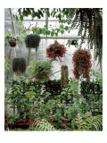 House & Garden - August 1963 Premium Photographic Print by William Grigsby