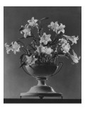 Vogue - January 1933 Premium Photographic Print by Unknown The 3
