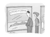 Store window reads "Kittens and Snake". Inside: a snake with kitten lumps. - New Yorker Cartoon Premium Giclee Print by Peter C. Vey