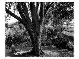 House & Garden - March 1940 Premium Photographic Print by Silvia Saunders