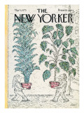 The New Yorker Cover - May 5, 1975 Premium Giclee Print by Edward Koren