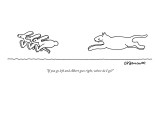 "If you go left and Albert goes right, where do I go?" - New Yorker Cartoon Premium Giclee Print by Charles Barsotti