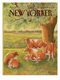 The New Yorker Cover - August 10, 1987 Premium Giclee Print by Jenni Oliver
