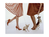 Vogue - February 1959 Premium Photographic Print by William Bell