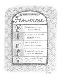 Berlitz Guide to Flowerese. - New Yorker Cartoon Premium Giclee Print by Roz Chast