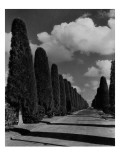 House & Garden - January 1936 Premium Photographic Print by John Kabel
