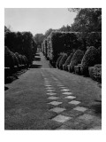 House & Garden - October 1949 Premium Photographic Print by André Kertész