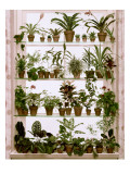 House & Garden - December 1955 Premium Photographic Print by William Grigsby