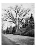 House & Garden - January 1945 Premium Photographic Print by Tom Leonard