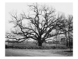 House & Garden - January 1945 Premium Photographic Print by Tom Leonard