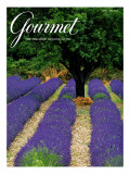 Gourmet Cover - April 1994 Premium Giclee Print by Julian Nieman