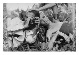 Vogue - January 1968 Premium Photographic Print by Franco Rubartelli