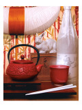 House & Garden - February 2007 Premium Photographic Print by Danny Evans