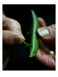 Gourmet Premium Photographic Print by Romulo Yanes