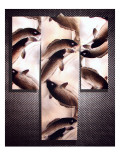 House & Garden - February 2007 Premium Photographic Print by Danny Evans