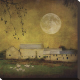 Sheep Under a Harvest Moon Stretched Canvas Print by Dawne Polis