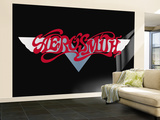 Aerosmith Wall Mural – Large